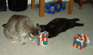 cats-presents11-web.jpg